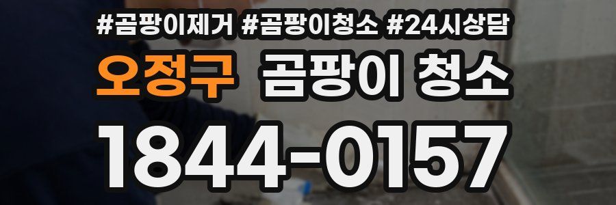 오정구 곰팡이 청소