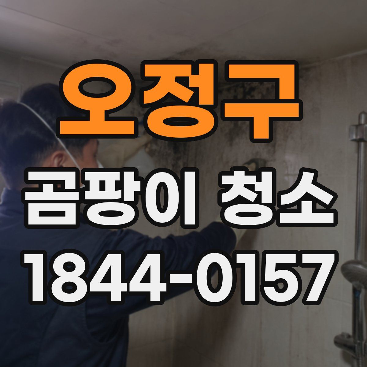 오정구 곰팡이 청소