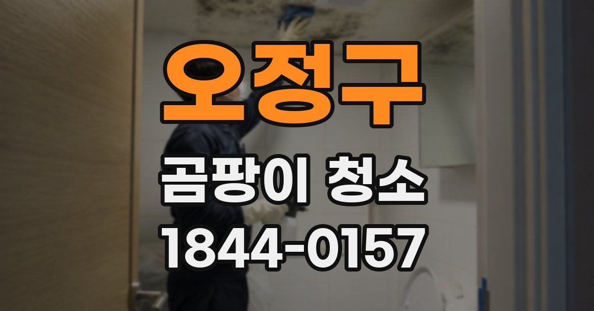 오정구 곰팡이 청소