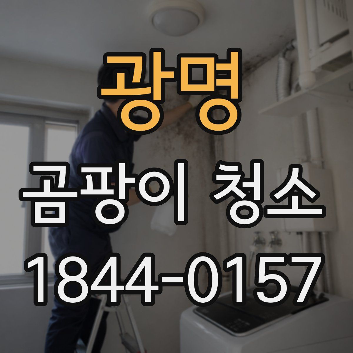 광명 곰팡이 청소