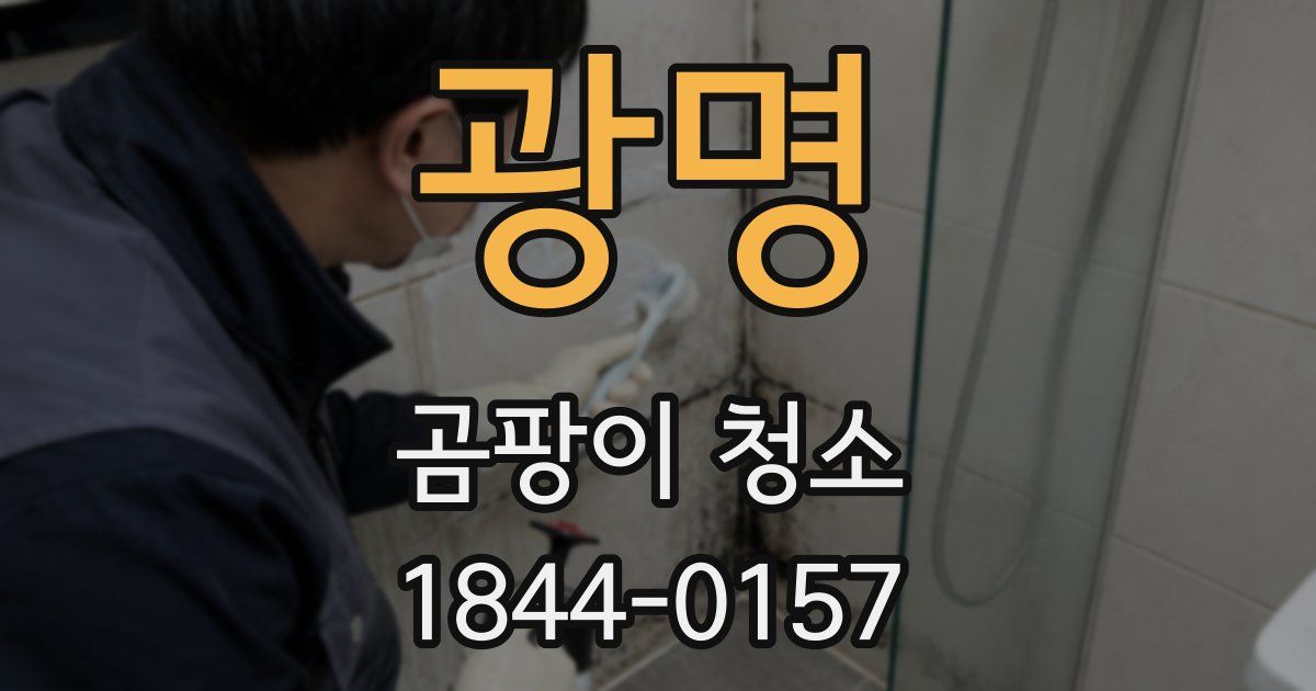 광명 곰팡이 청소
