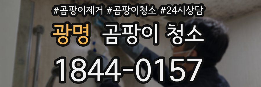 광명 곰팡이 청소