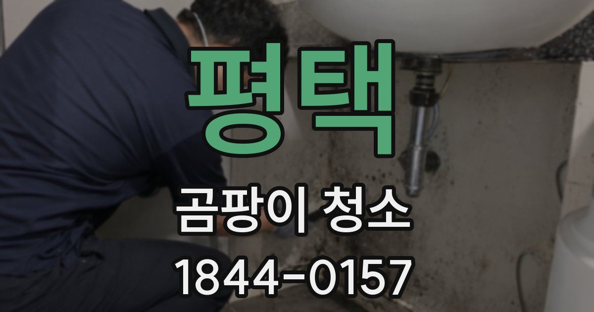평택 곰팡이 청소