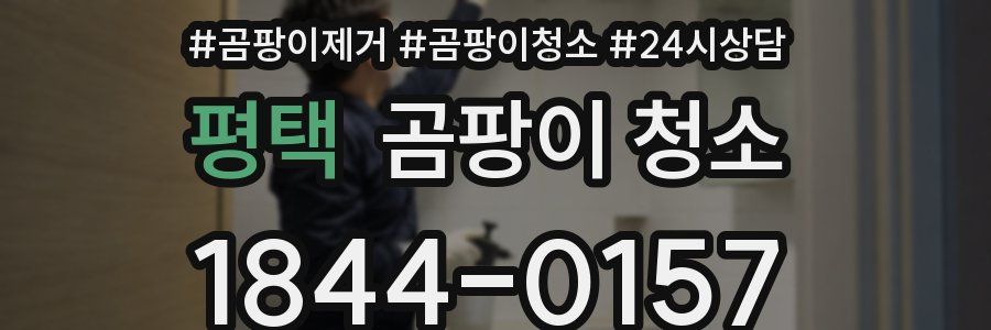 평택 곰팡이 청소