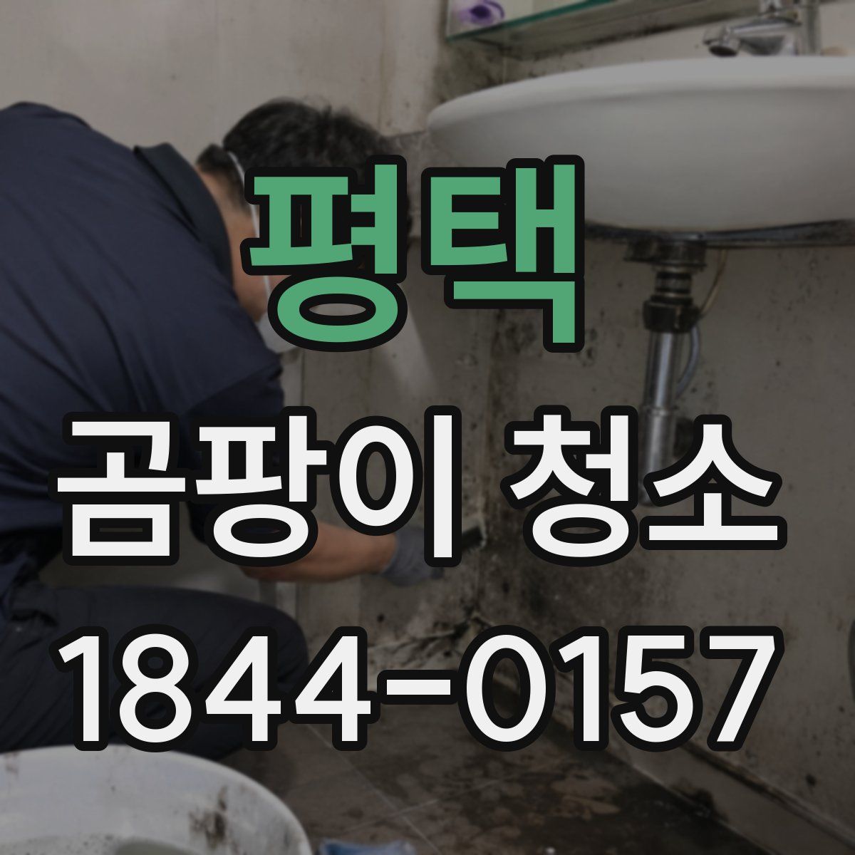 평택 곰팡이 청소