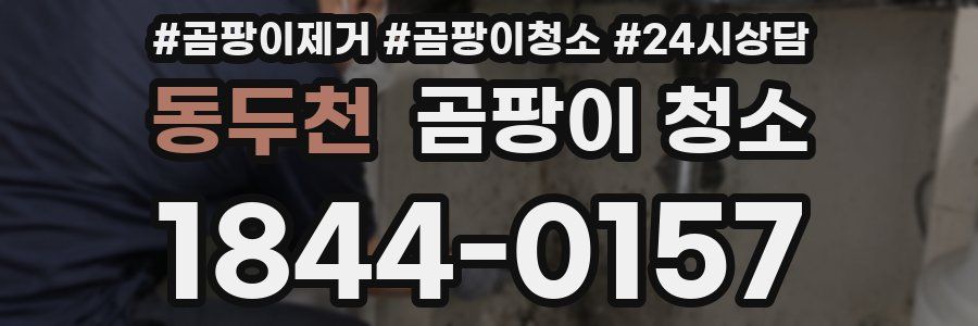 동두천 곰팡이 청소