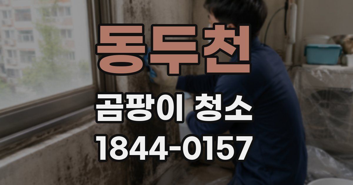동두천 곰팡이 청소