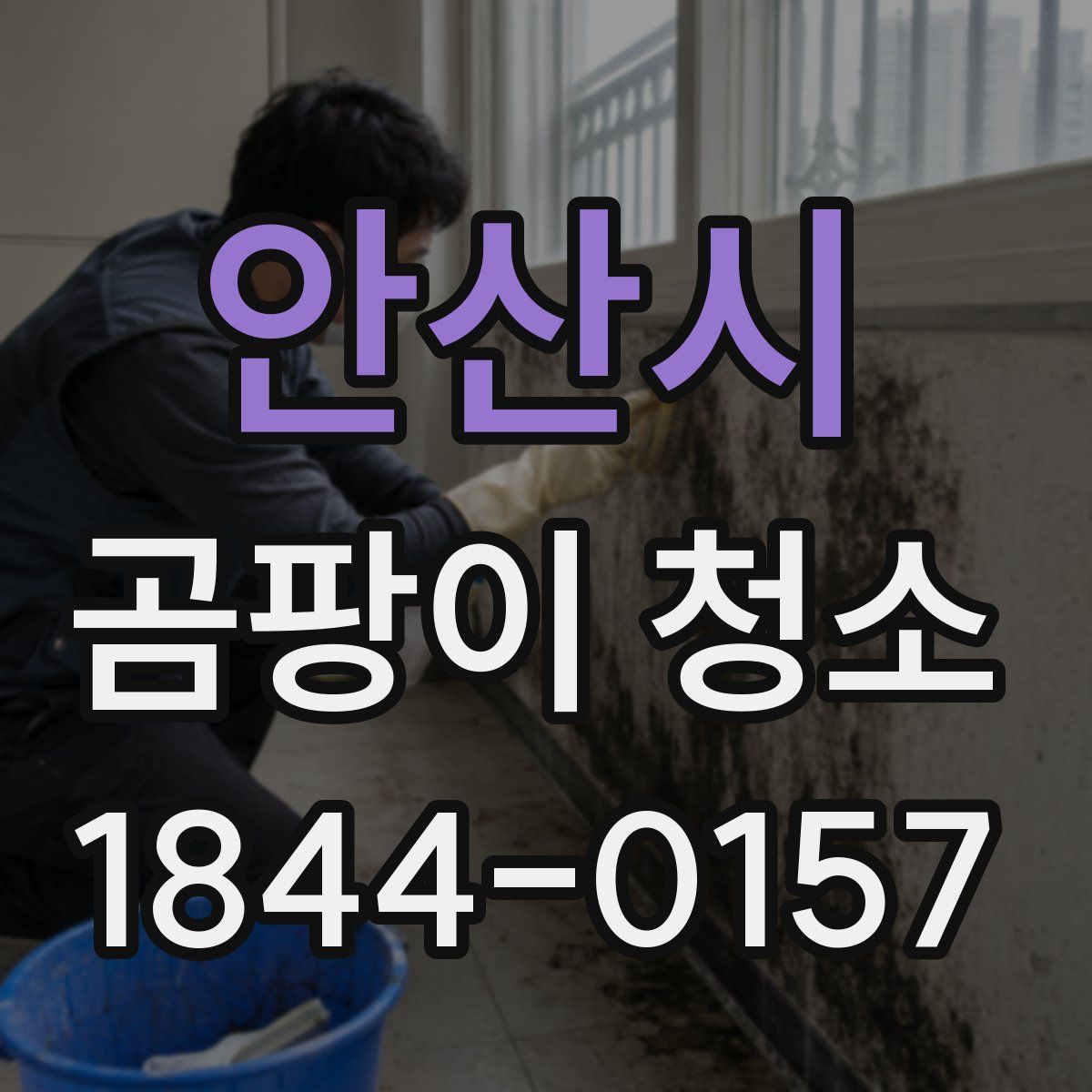 안산시 곰팡이 청소