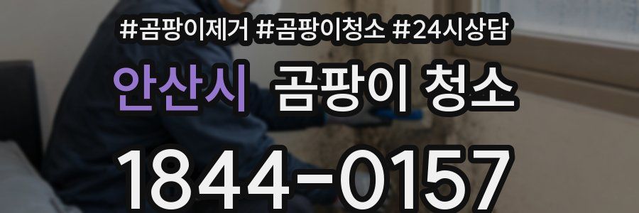 안산시 곰팡이 청소