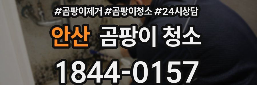 안산 곰팡이 청소