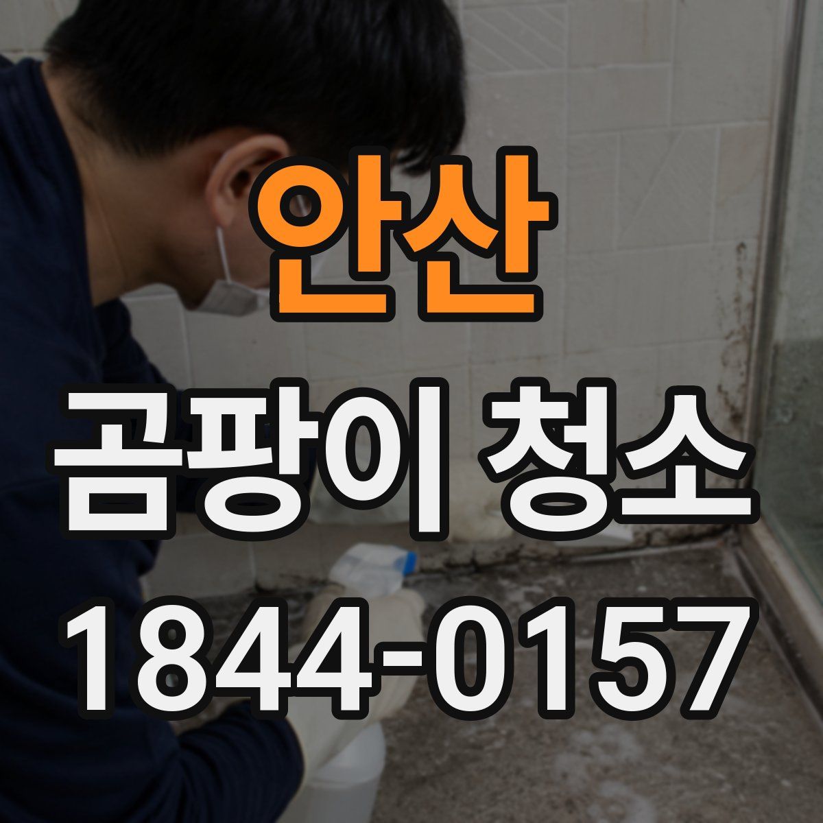 안산 곰팡이 청소