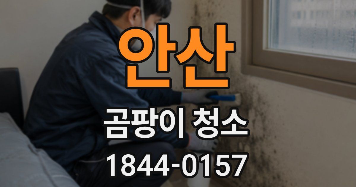 안산 곰팡이 청소