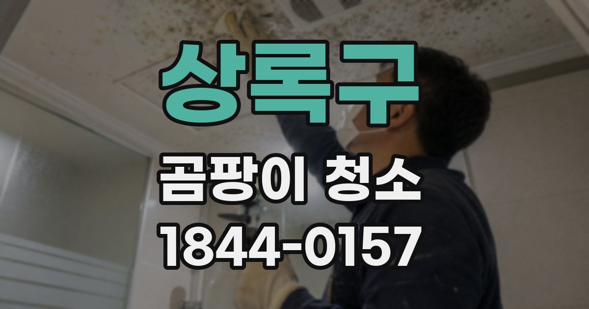 상록구 곰팡이 청소