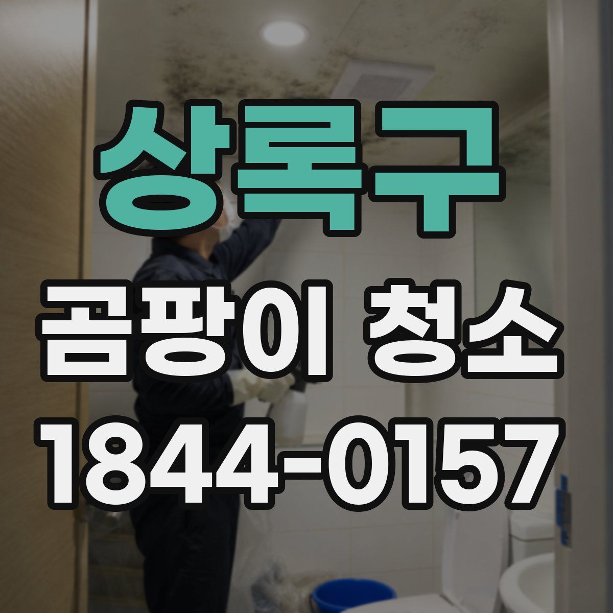 상록구 곰팡이 청소