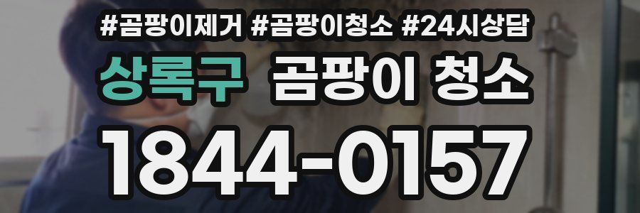 상록구 곰팡이 청소