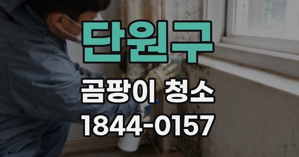 단원구 곰팡이 청소