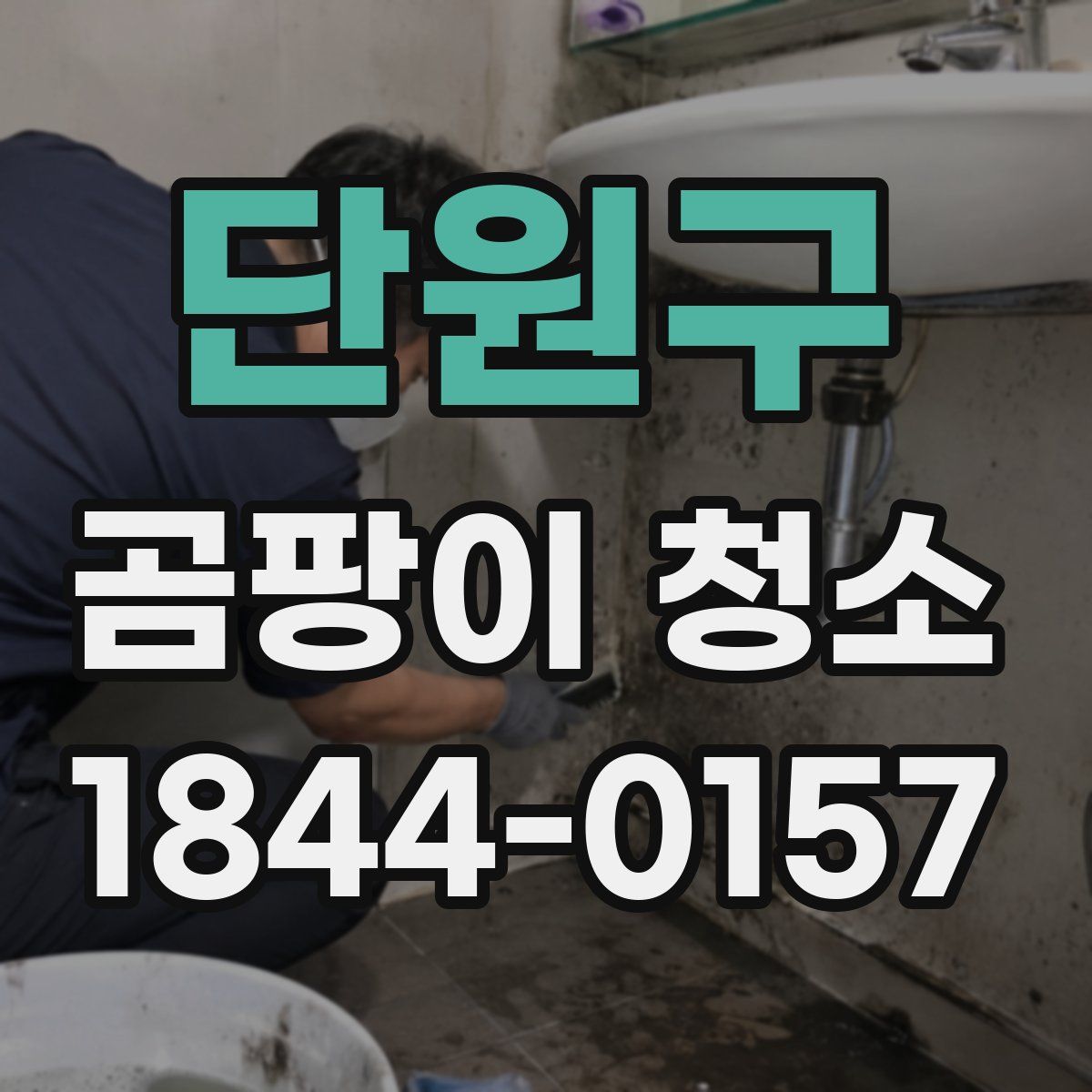 단원구 곰팡이 청소