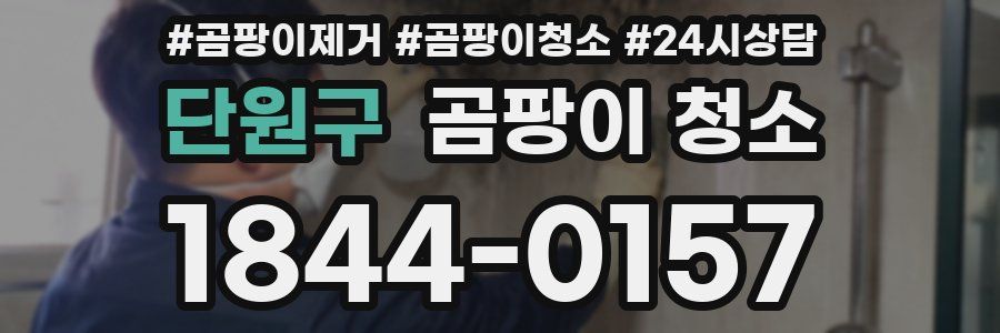단원구 곰팡이 청소