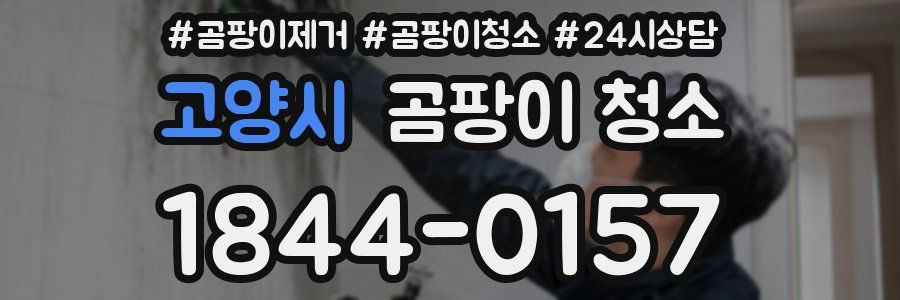 고양시 곰팡이 청소