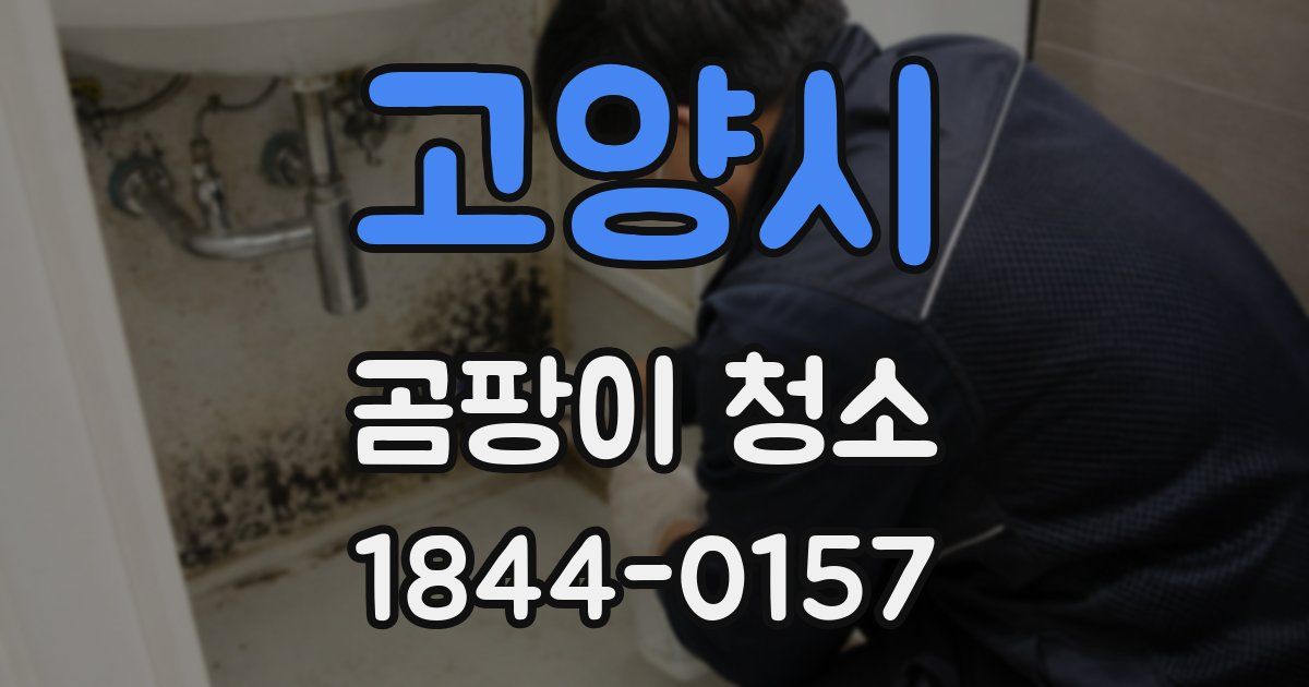고양시 곰팡이 청소