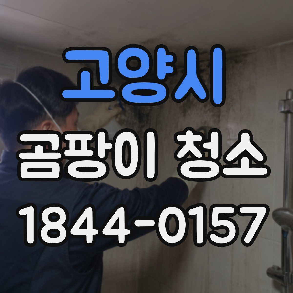 고양시 곰팡이 청소