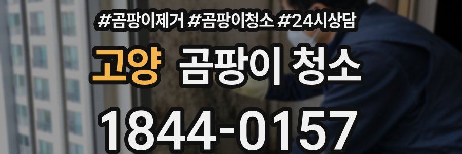 고양 곰팡이 청소