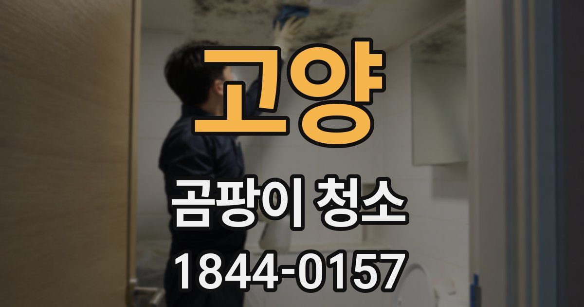 고양 곰팡이 청소