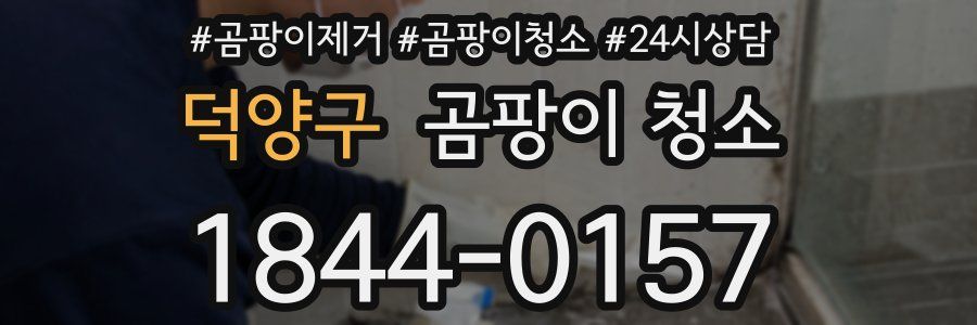 덕양구 곰팡이 청소