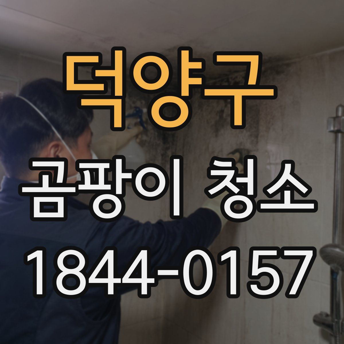 덕양구 곰팡이 청소