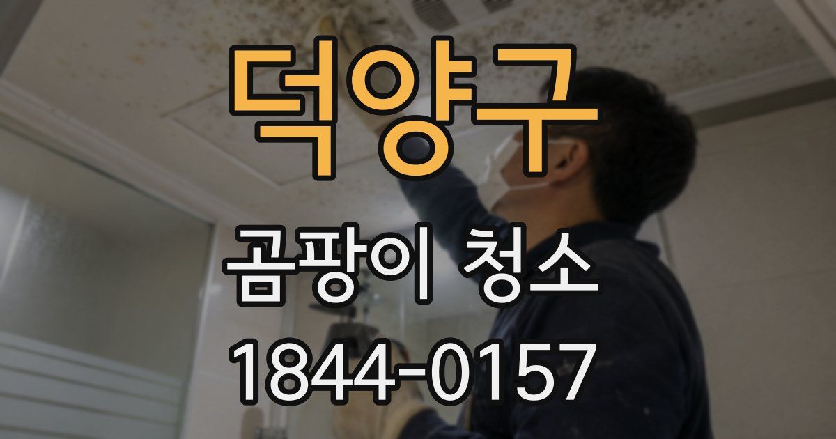 덕양구 곰팡이 청소