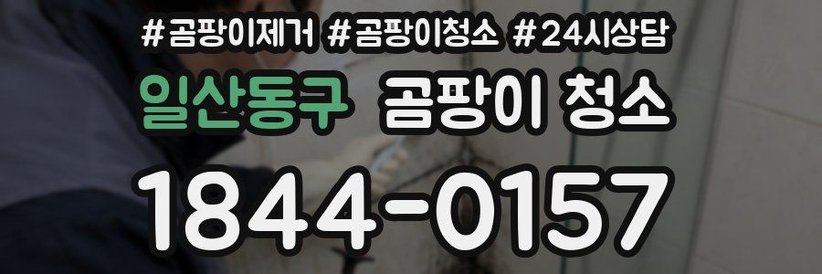 일산동구 곰팡이 청소