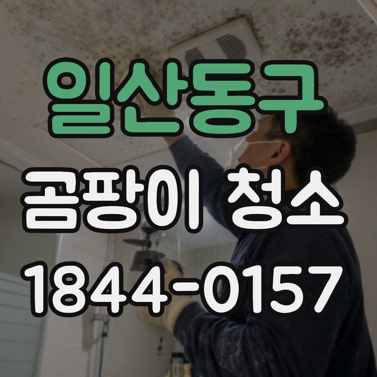 일산동구 곰팡이 청소
