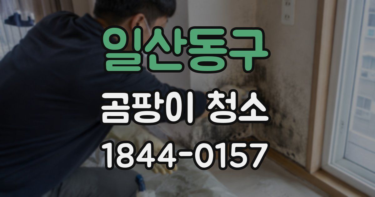 일산동구 곰팡이 청소
