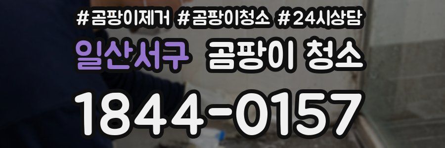 일산서구 곰팡이 청소