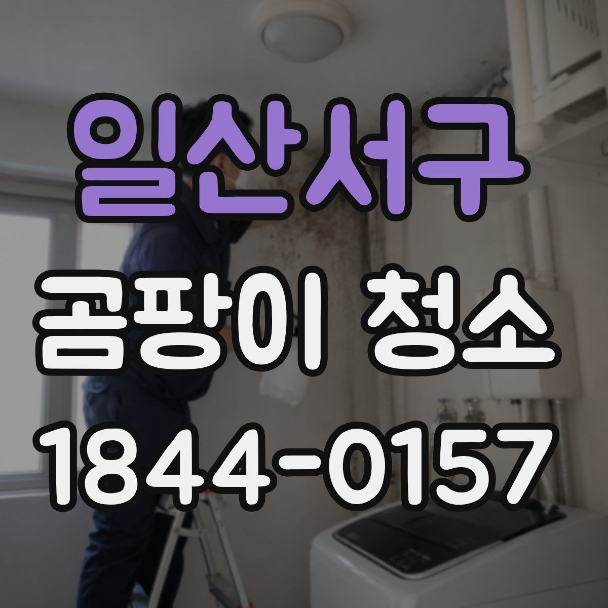 일산서구 곰팡이 청소