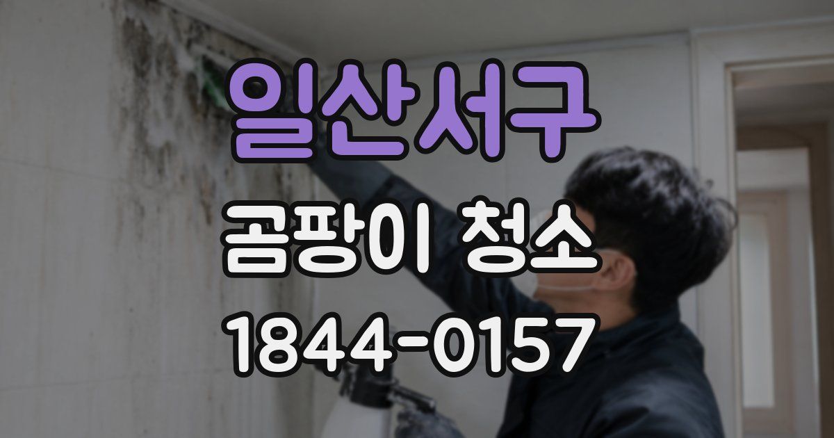 일산서구 곰팡이 청소