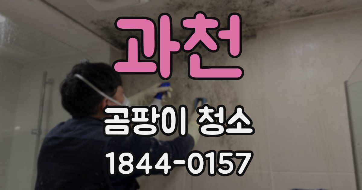 과천 곰팡이 청소