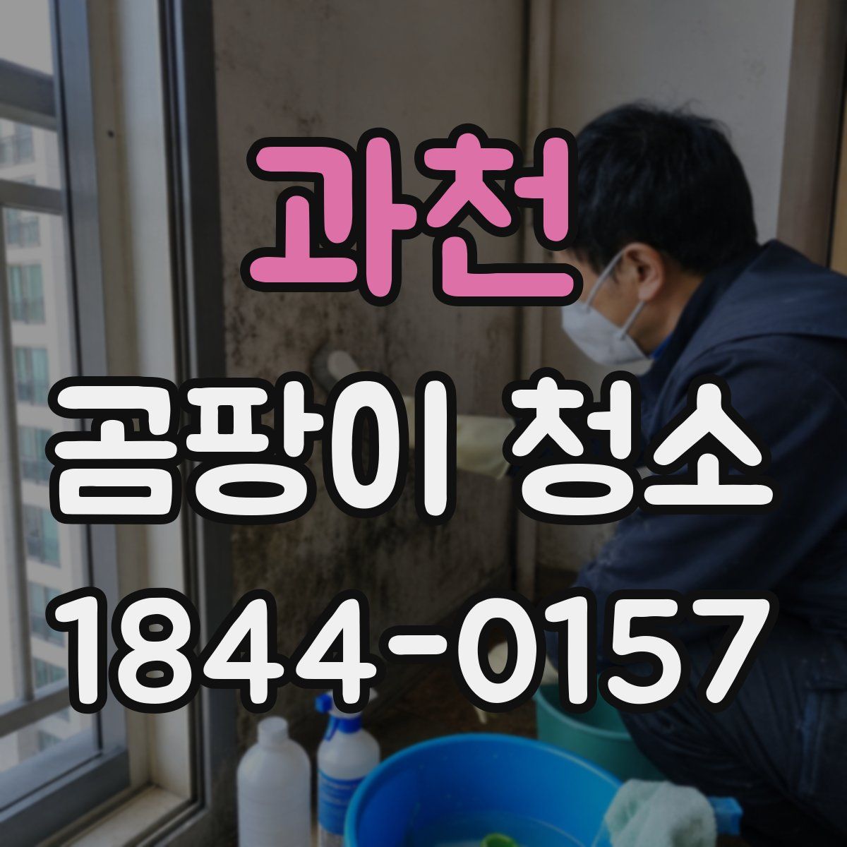 과천 곰팡이 청소