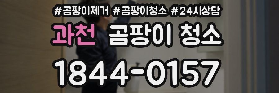 과천 곰팡이 청소