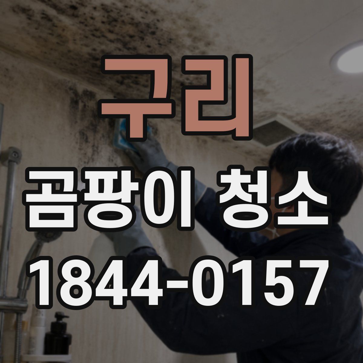 구리 곰팡이 청소