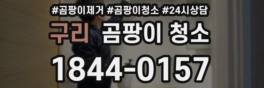 구리 곰팡이 청소