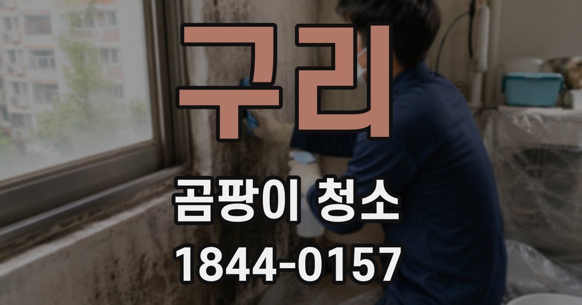 구리 곰팡이 청소