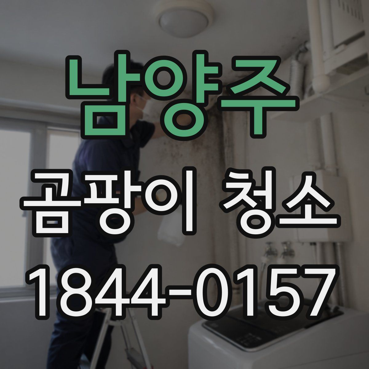 남양주 곰팡이 청소