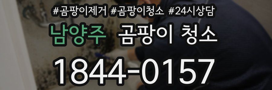 남양주 곰팡이 청소