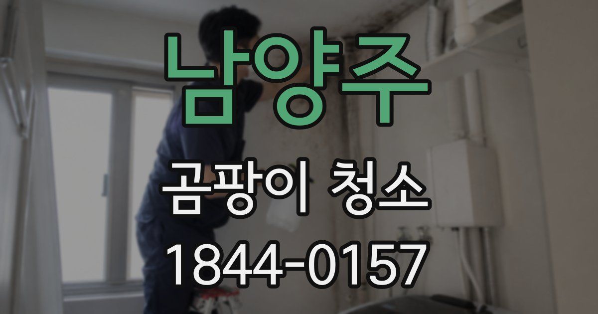 남양주 곰팡이 청소
