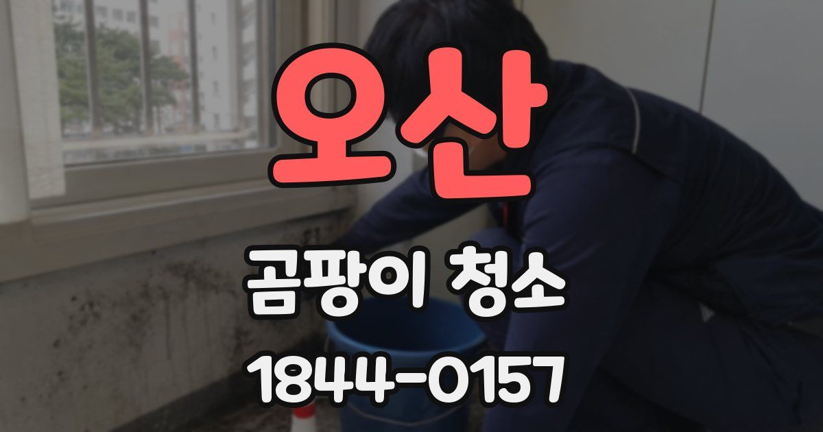 오산 곰팡이 청소
