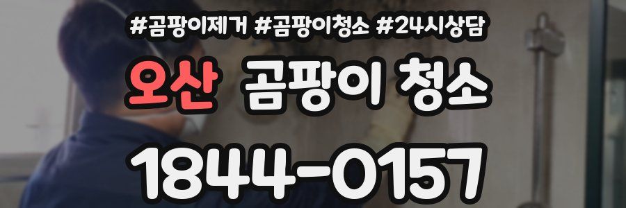 오산 곰팡이 청소