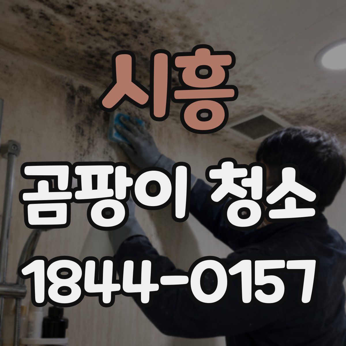 시흥 곰팡이 청소