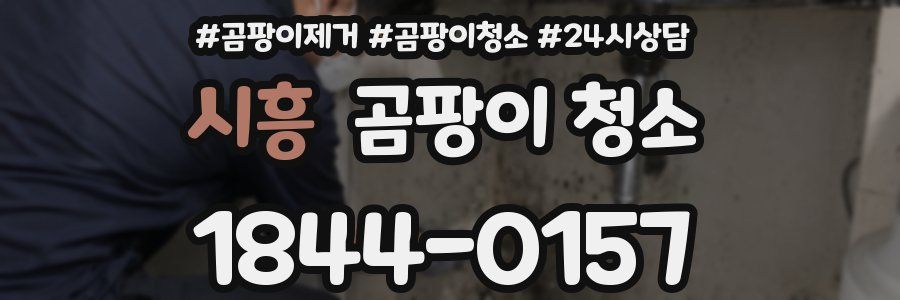 시흥 곰팡이 청소