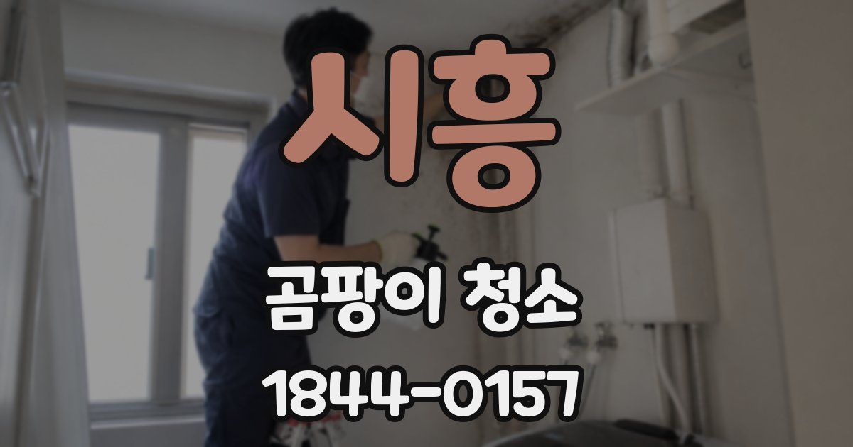 시흥 곰팡이 청소